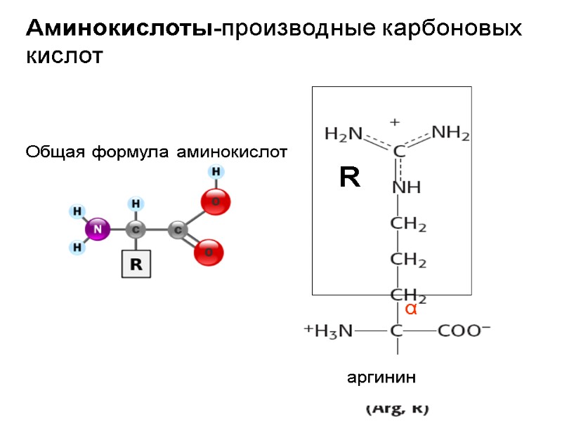 Аминокислоты-производные карбоновых кислот Общая формула аминокислот α R аргинин